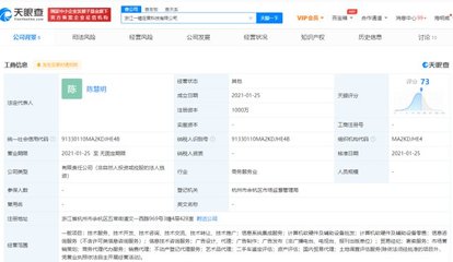 阿里成立一錘定音科技公司，劍指抖音“數字化底座”？繼“京西”后布局再引關注